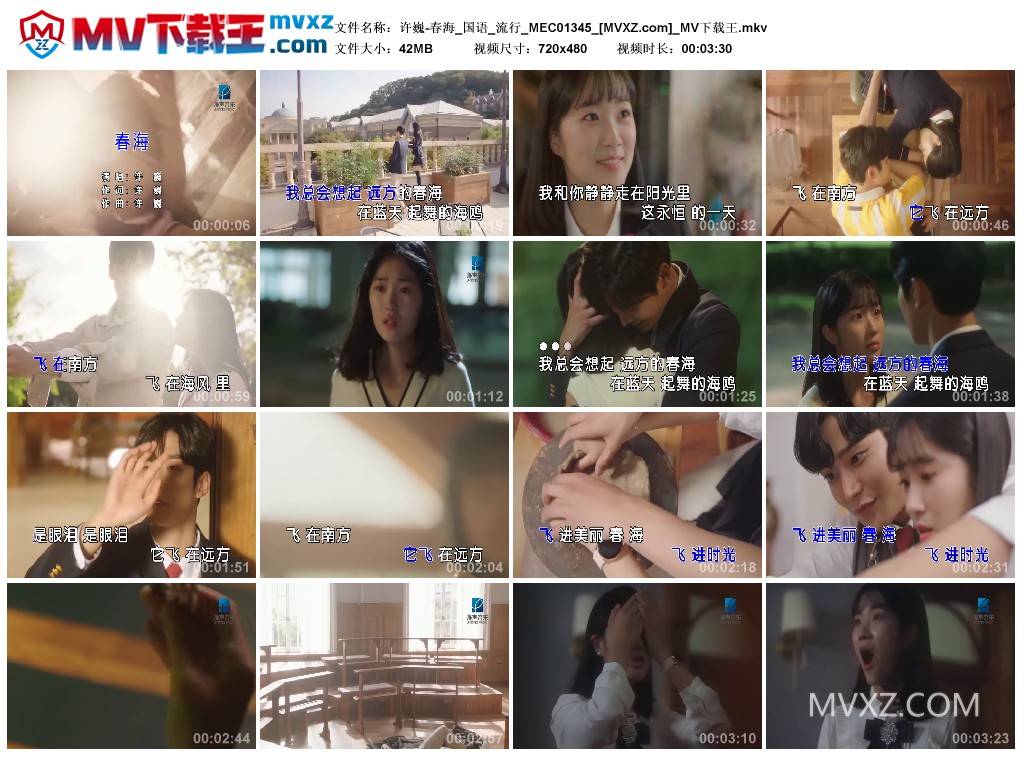 许巍-春海_国语_流行_MEC01345